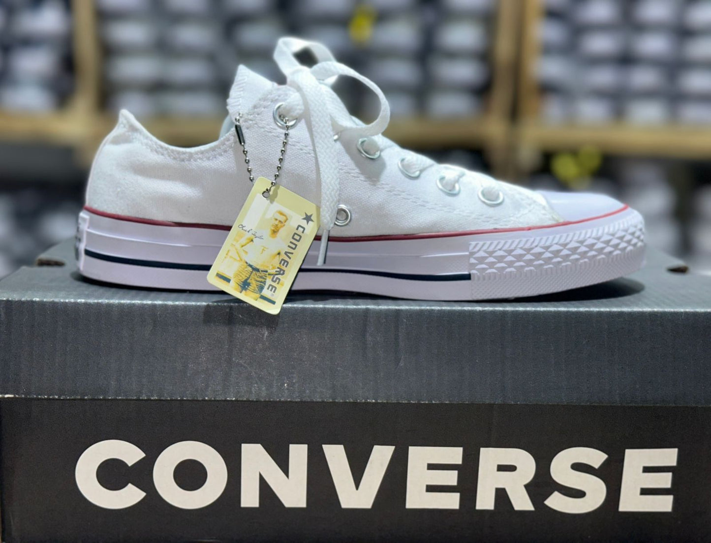 Converse Zapato Blanco